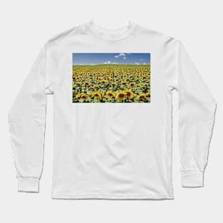 Sunflower field in the summer Long Sleeve T-Shirt